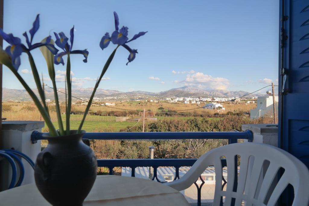 Mina'S Studios In Naxos Island Agios Prokopios  Exteriér fotografie